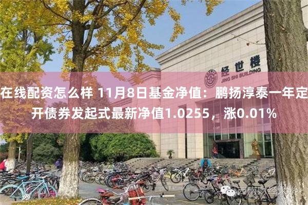 在线配资怎么样 11月8日基金净值：鹏扬淳泰一年定开债券发起式最新净值1.0255，涨0.01%