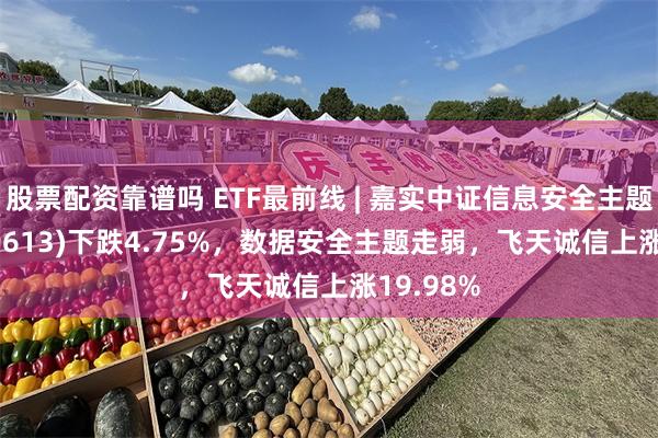 股票配资靠谱吗 ETF最前线 | 嘉实中证信息安全主题ETF(159613)下跌4.75%，数据安全主题走弱，飞天诚信上涨19.98%