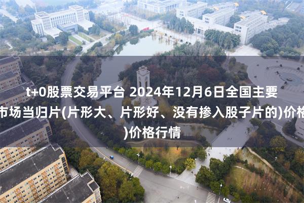 t+0股票交易平台 2024年12月6日全国主要批发市场当归片(片形大、片形好、没有掺入股子片的)价格行情