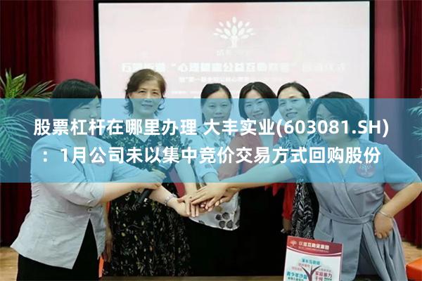股票杠杆在哪里办理 大丰实业(603081.SH)：1月公司未以集中竞价交易方式回购股份