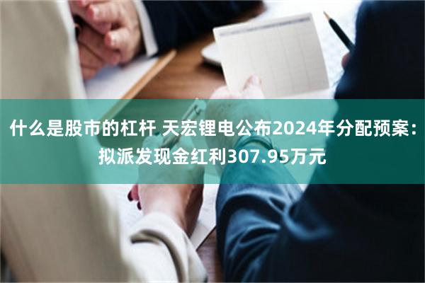 什么是股市的杠杆 天宏锂电公布2024年分配预案：拟派发现金红利307.95万元