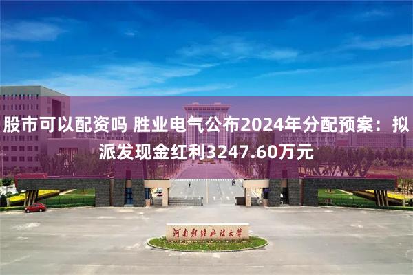股市可以配资吗 胜业电气公布2024年分配预案：拟派发现金红利3247.60万元