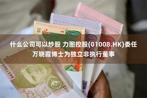 什么公司可以炒股 力图控股(01008.HK)委任万晓霞博士为独立非执行董事