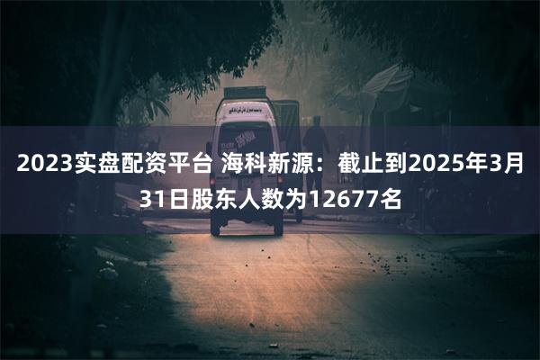 2023实盘配资平台 海科新源：截止到2025年3月31日股东人数为12677名