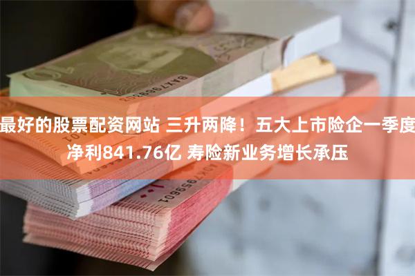 最好的股票配资网站 三升两降！五大上市险企一季度净利841.76亿 寿险新业务增长承压