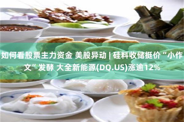 如何看股票主力资金 美股异动 | 硅料收储挺价“小作文”发酵 大全新能源(DQ.US)涨逾12%