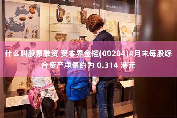 什么叫股票融资 资本界金控(00204)4月末每股综合资产净值约为 0.314 港元