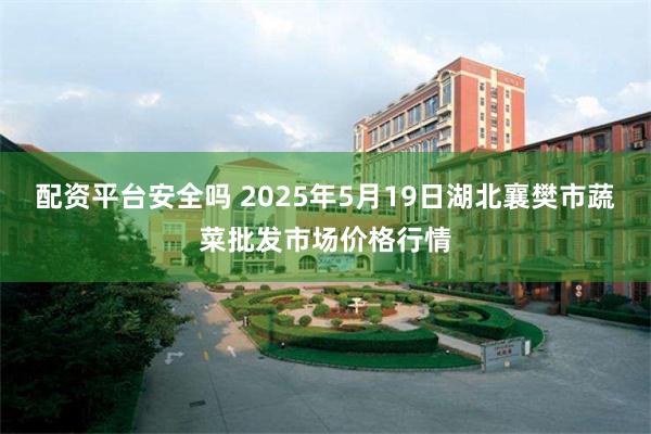 配资平台安全吗 2025年5月19日湖北襄樊市蔬菜批发市场价格行情