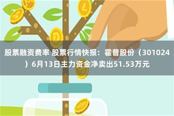 股票融资费率 股票行情快报：霍普股份（301024）6月13日主力资金净卖出51.53万元