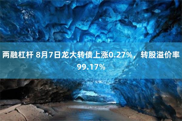 两融杠杆 8月7日龙大转债上涨0.27%，转股溢价率99.17%