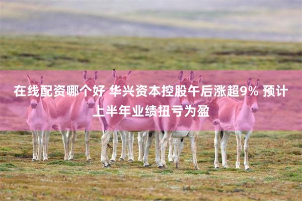 在线配资哪个好 华兴资本控股午后涨超9% 预计上半年业绩扭亏为盈