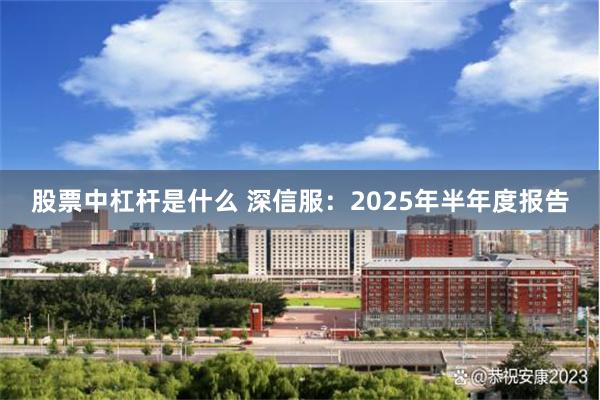 股票中杠杆是什么 深信服：2025年半年度报告