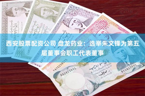 西安股票配资公司 盘龙药业：选举朱文锋为第五届董事会职工代表董事