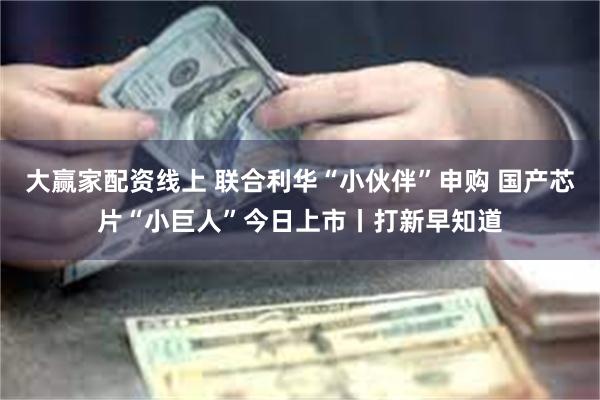 大赢家配资线上 联合利华“小伙伴”申购 国产芯片“小巨人”今日上市丨打新早知道